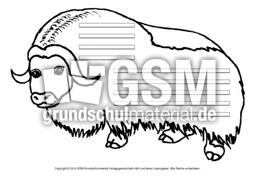 Yak-mit-Lineatur.pdf